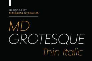 A Designer's Practical Guide to MD Grotesque Thin Italic