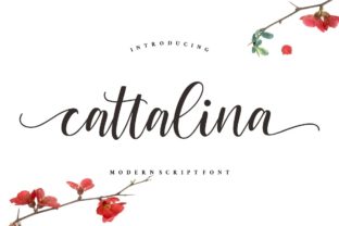 Cattalina: A Luxury Font for Editorial Mood and Identity