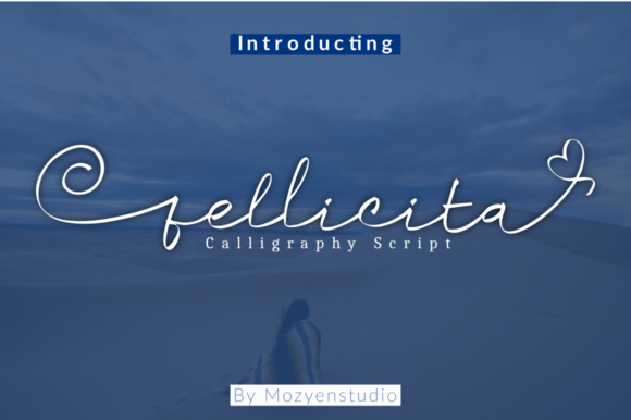 Fellicita: The Handwritten Font for Marketing Elegance