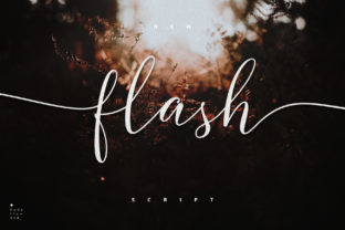 Flash Script: The Bold Handwritten Font for Campaigns That Stand Out
