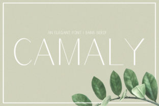 The Camaly Font: An Elegant Sans Serif for Modern Web Design