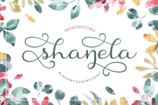 The Shanela Font in Modern Website Layouts