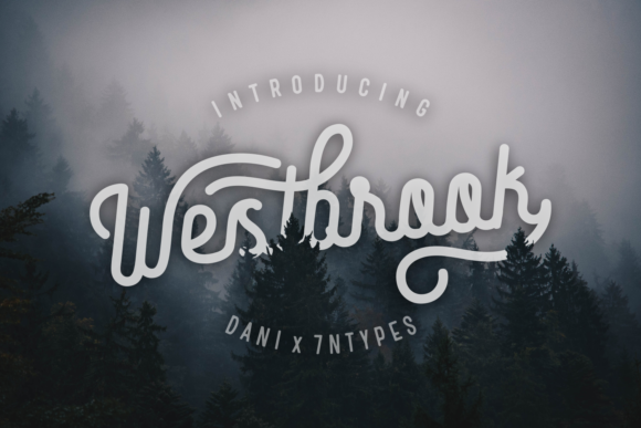 Westbrook Font: A Designer's Review for Branding Projects